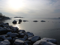 Nasviken